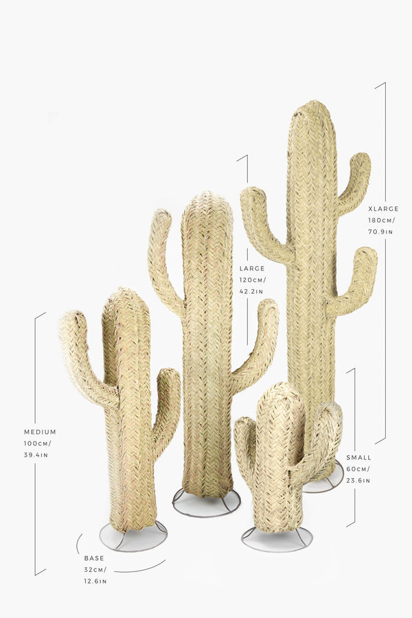 BRAIDED DOUM PALM CACTUS